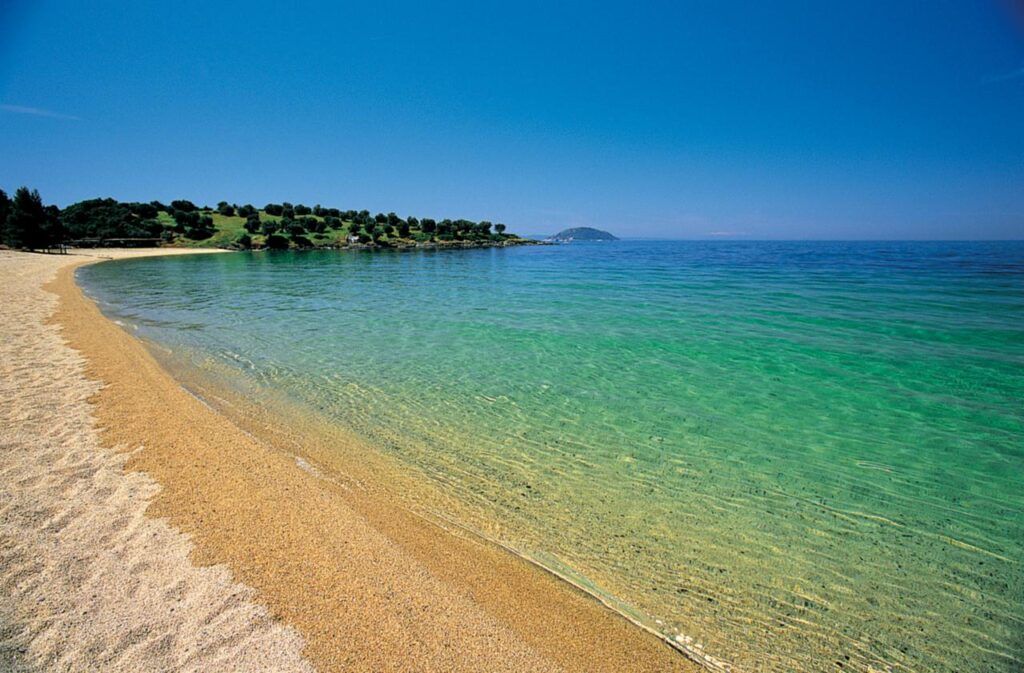 The golden sands and immaculate waters of Kohi Beach at Porto Carras, one of the best Sithonia Beaches