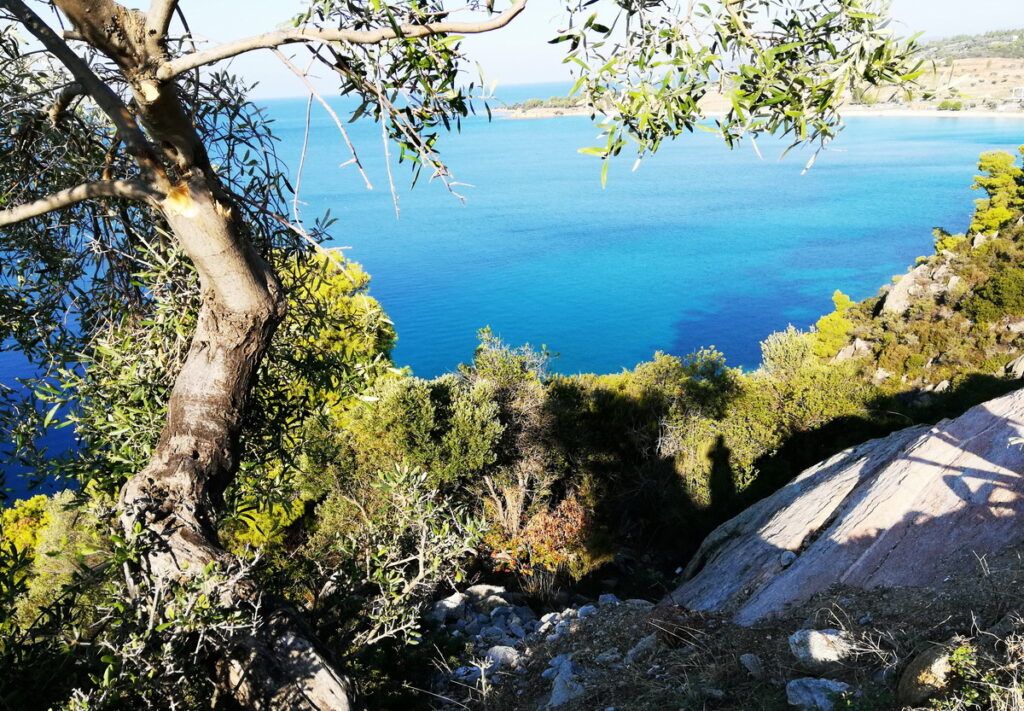 Nikiti and the sparkling bay of Toroneos from above