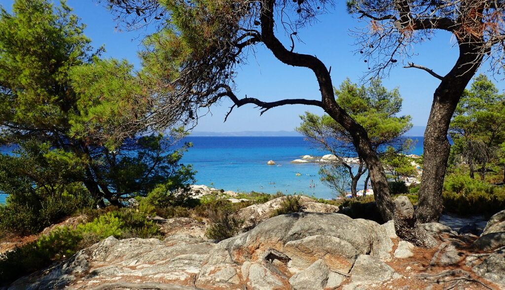 Pine trees and little coves make the Vourvourou beaches enchanting.